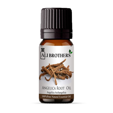 Angelica Root Oil