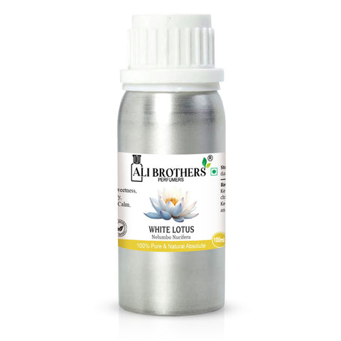 White Lotus Absolute